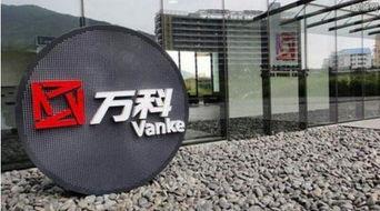 天津万科爆料事件视频,揭露背后的真相与争议